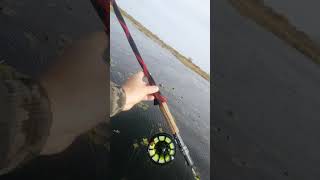 сетка для транспортировки нахлыстового удилища #нахлыст #flyfishing #tutorial