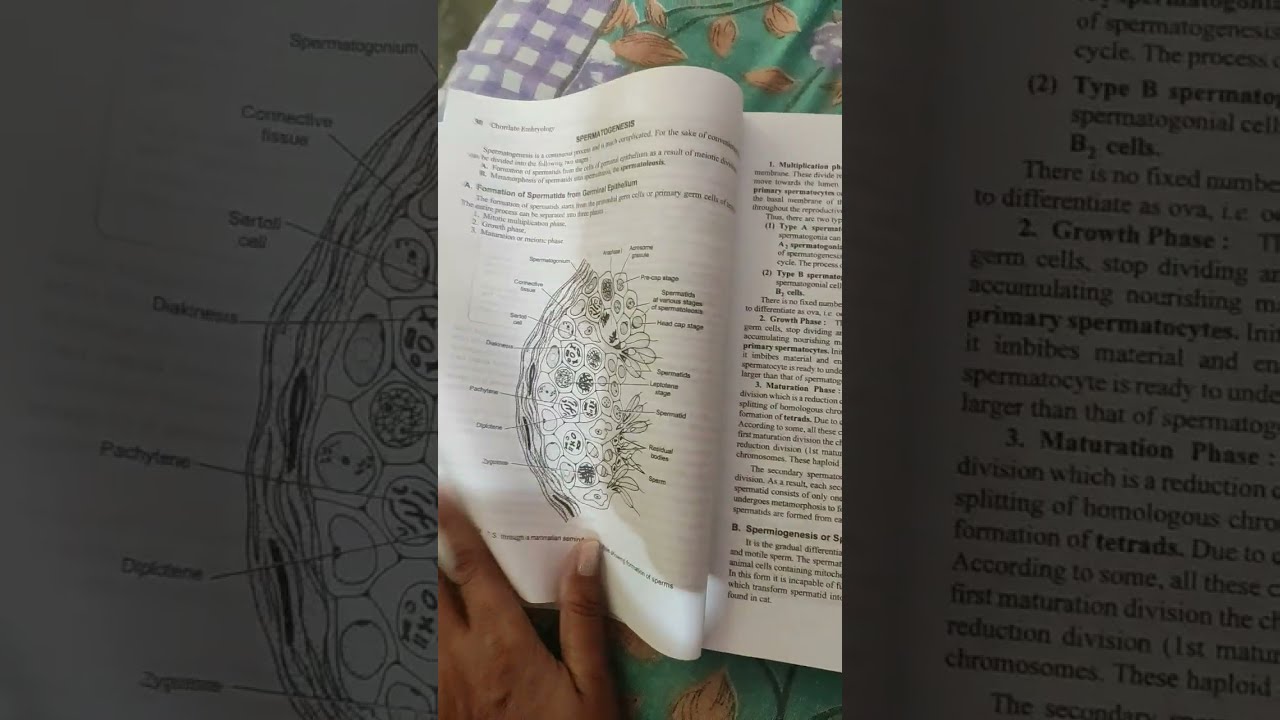 CHORDATE EMBRYOLOGY Developmental Biology Best Book For TGT Pgt Net Jrf Shorts Ytshorts