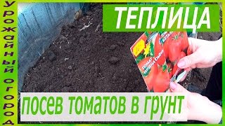 БЕЗРАССАДНЫЙ СПОСОБ ВЫРАЩИВАНИЯ ТОМАТОВ!