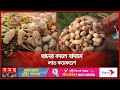 বাদামে সোনালী স্বপ্ন কৃষকের, বাধা প্রকৃতি | Groundnut Farming | Rangpur | Somoy TV