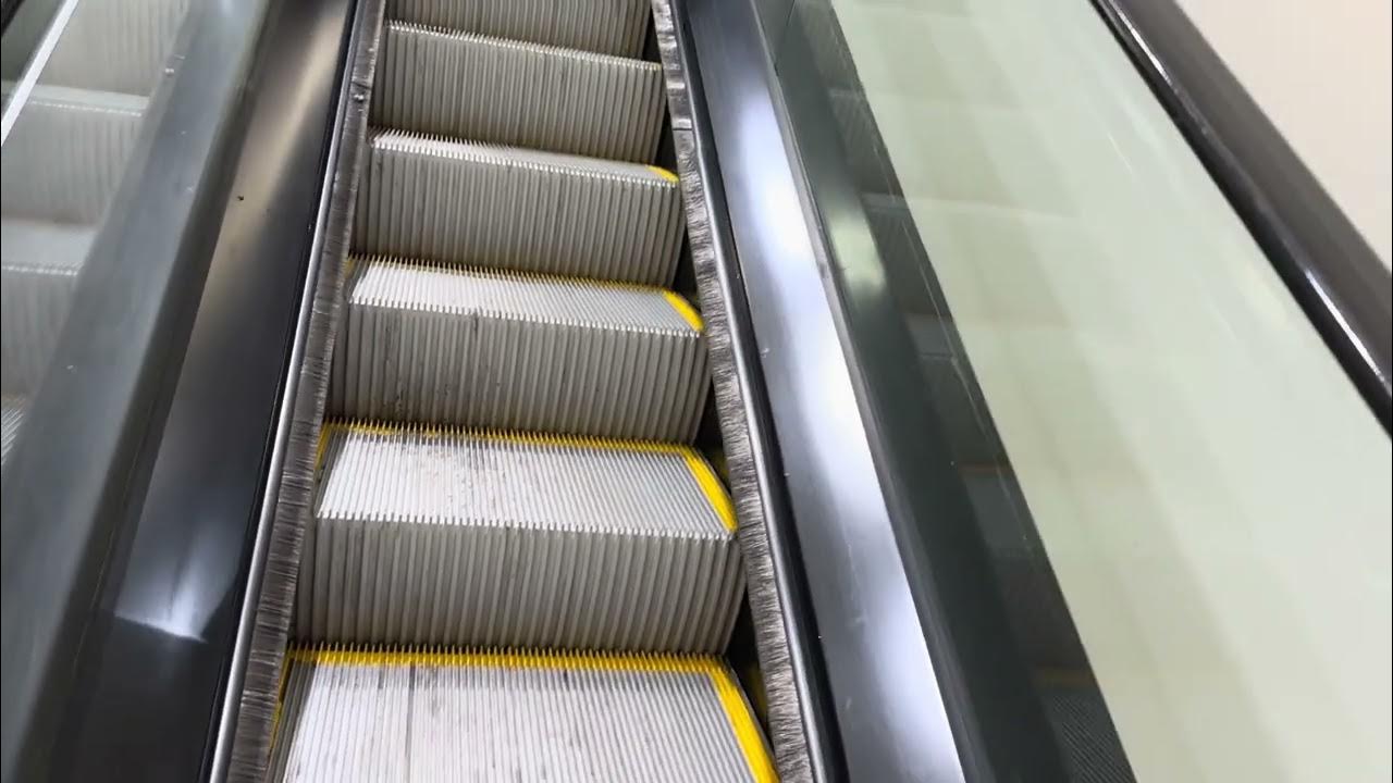 Schindler Escalators (Saks Fifth Avenue wing) @ Somerset Collection South -  Troy, MI 