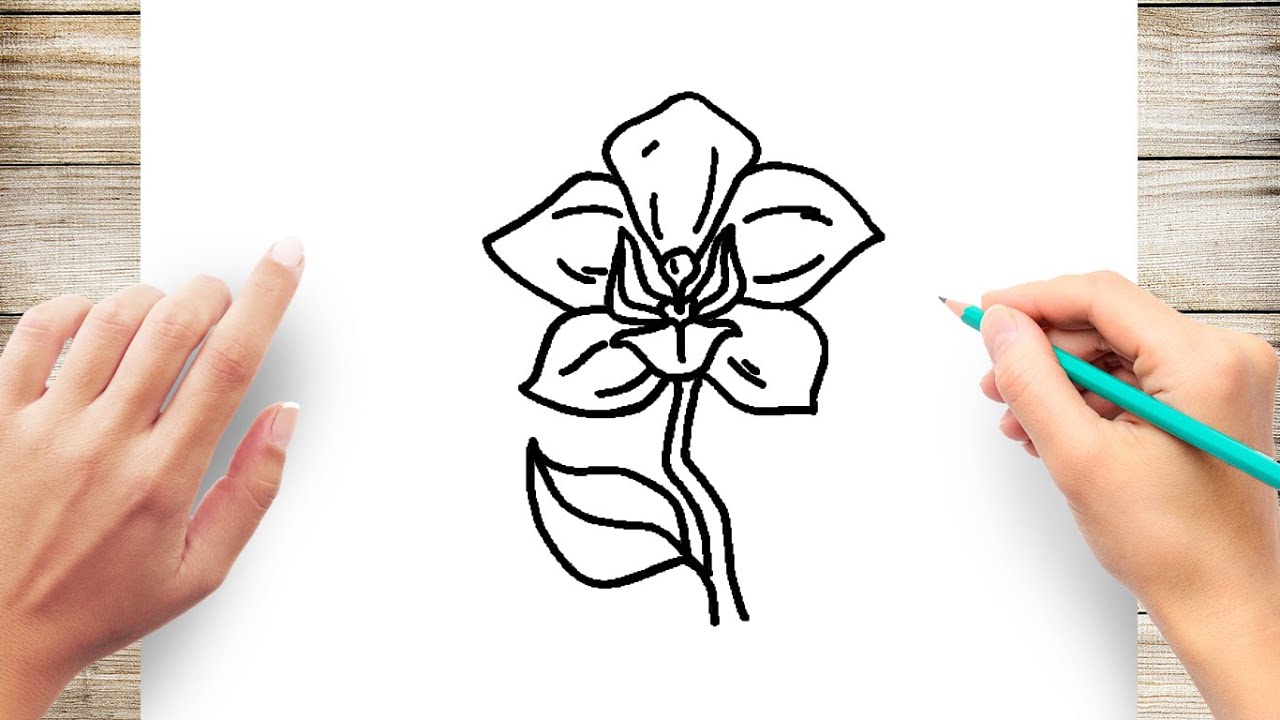 How to Draw an Orchid - A Step-by-Step Orchid Drawing Tutorial