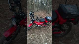 New Bike Day! Honda Trail 125