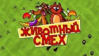 Животный смех (выпуск 3)