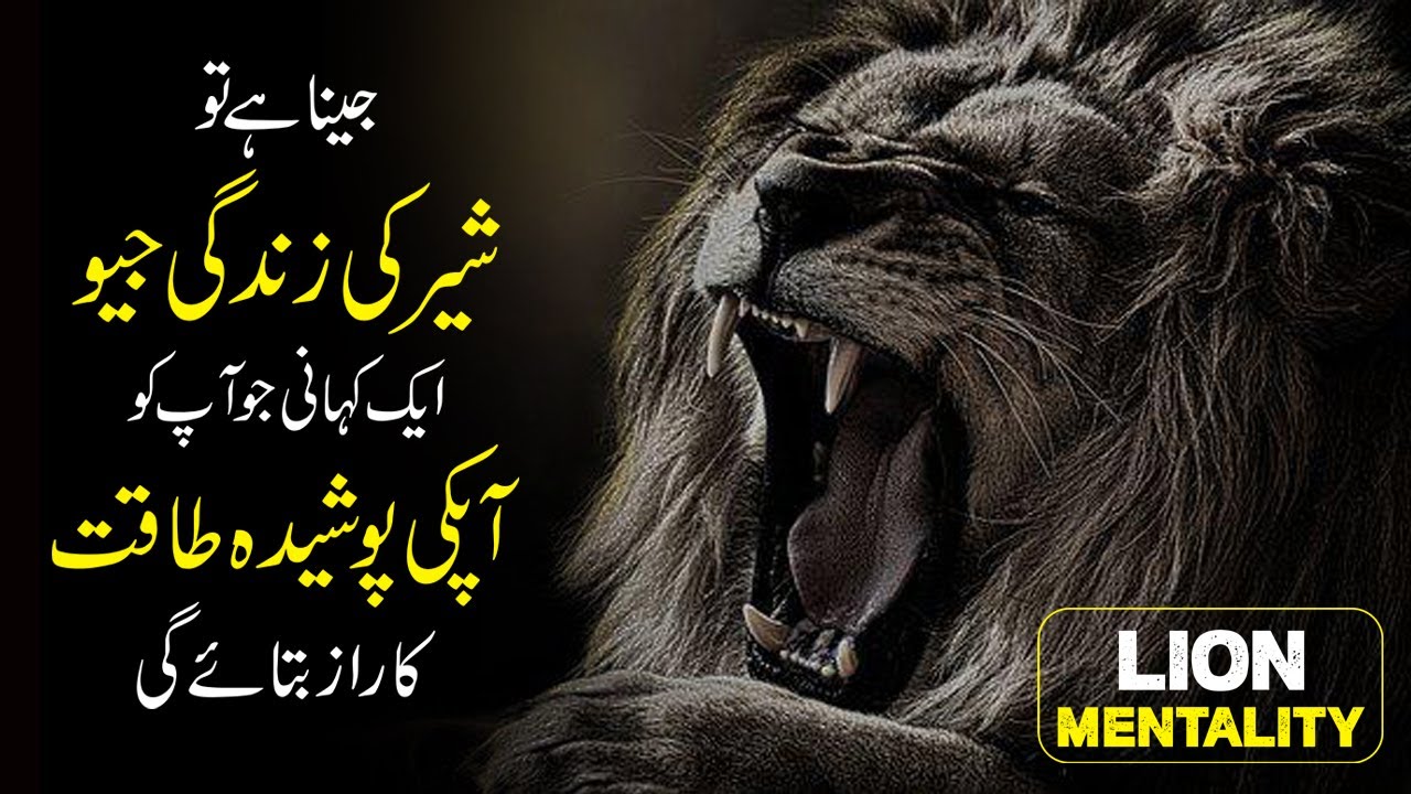 Lion Mindset You will know Who You really are urdu hindi Best