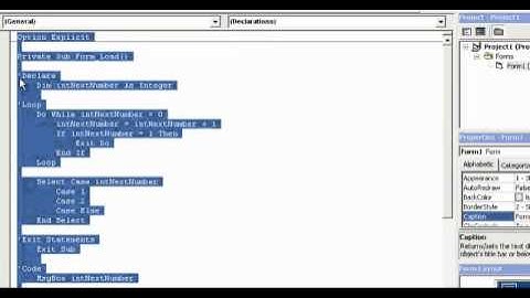 Video 16: VB 6 Programming, Loops, Exit Statements, On Error