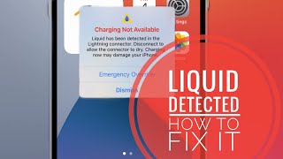 How to Fix Liquid Detected In iPhone Connector Bug (Charging Not Available)