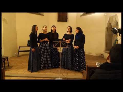 HAERI - შენ ალაზანო -shen alazano