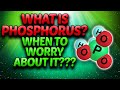 What is phosphorus  when you need to worry about phosphorus  which phosphates to watch out for