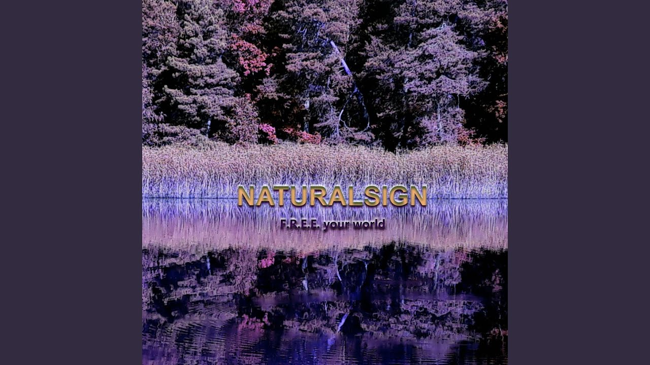 E2017 (Remastered 2025)