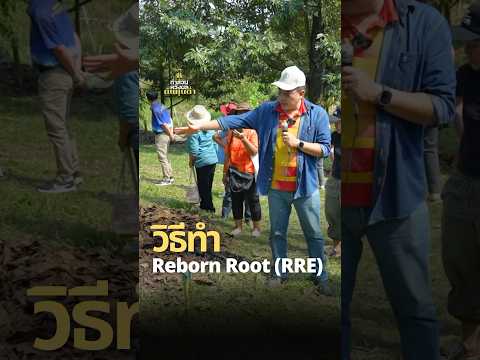 วิธีทำ Reborn Root Ecosystem #ทำสวนหวังผลต้นทุนต่ำ #RRE #ทุเรียน