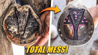 Most Satisfying Hoof Work Compilation | Real Transformations