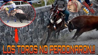 LOS TOROS NO PERDONARON Y LLEGARON CON TODO A SALTÓ DE ESPEJO.!!!