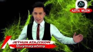 Jeyhun  Atajykow  -  Duymayanmy Resimi