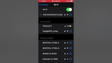 Z1 DNG Transfer (iOS)
