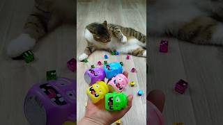 Cat Barsik Cubes  Reverse  marblerunandmore cat reverse