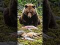 The Bold Fox and the Grizzly Bear: A Daring Fish Theft! 🦊🐟🐻