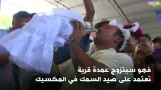 الشذوذ الجنسي .....مع الحيوانات الشذوذ الجنسي .....مع الحيوانات