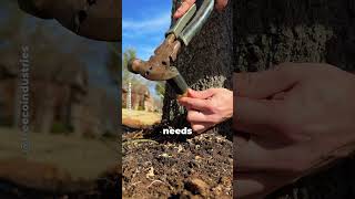 The Secret Behind Tree Injections Revealed