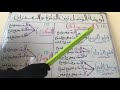 مقارنة بين قراءة البقرة وال عمران 🌷
