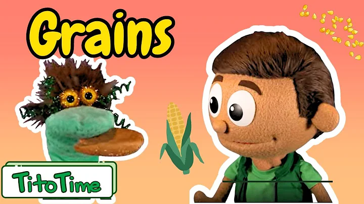 What Are Grains? -  Kids Explore The Grains Food Group with Tito & Mr. Funny! - Episode 5