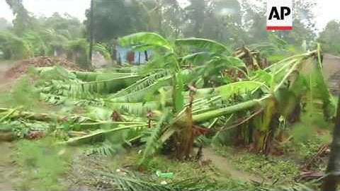 Trees uprooted as Hurricane slams Haiti