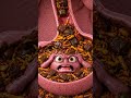 Bloating or loose motion during periods? Here’s what’s happening | #pms #shorts