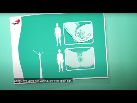 อวัยวะเพศหญิง | RFSU informerar om vulva vagina / kvinnans kön på thailändska