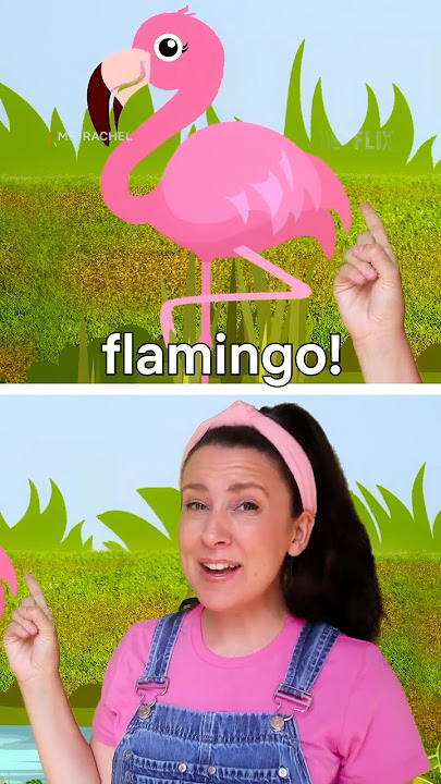 Stand like a flamingo with Ms. Rachel, now playing on Netflix! 🦩