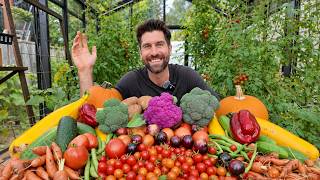I Grew 1,000lbs of Food In My Backyard (final week)