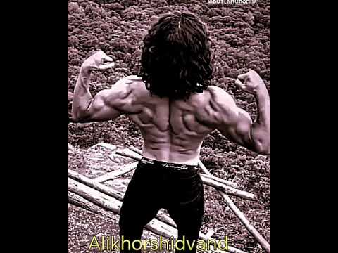 باد برای عذر خواهی آمد ولی حیف شاخه شکسته خواهد ماند