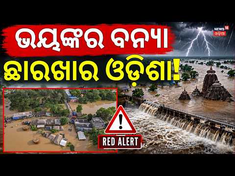 ଛାରଖାର ଓଡ଼ିଶା | Odisha Flood News | Mahanadi Flood Alert | Puri Flood News | Odia News