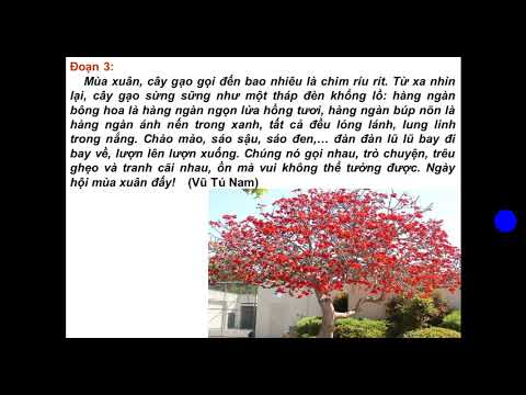 04/2020 - Đợt 2 - Văn 6 - Buổi 3: Quan sát, tưởng tượng, so sánh và nhận xét trong văn mêu tả