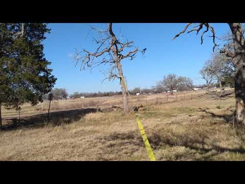 Pulling down 24" dead post oak tree with strap and tractor