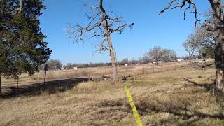 Pulling down 24" dead post oak tree with strap and tractor