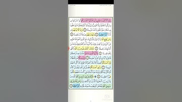 تثبيت وتربيط سورة النساء الربع السادس ( ربع فاليقاتل فى سبيل الله  )