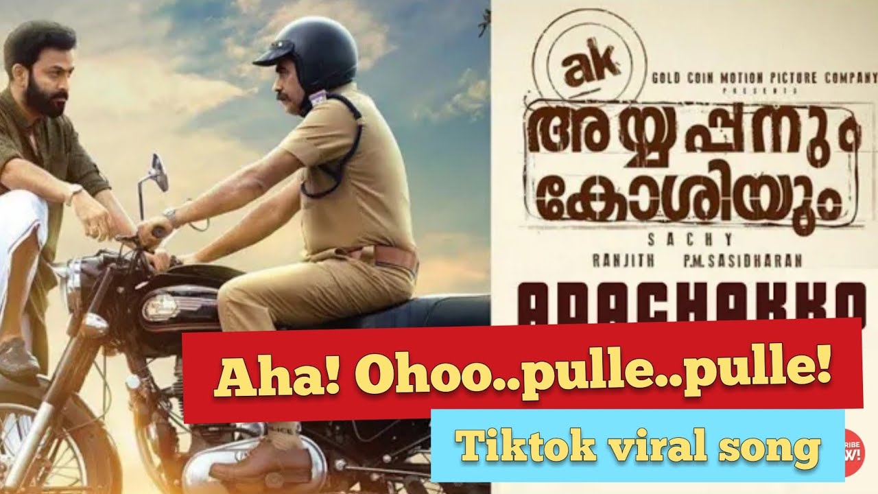 Aha ohoo pulle pulle Aha ohoo pulle pulle  Malayalam song   Tiktok viral music