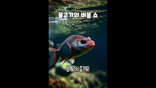 이벤트 배너