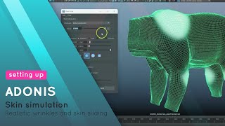 Setting Up Skin Simulation in Adonis