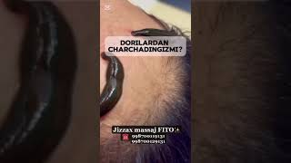 Jizzax shahar Gord Sharof Rashidov koʻchasi 1-maktab roʻparasi 📞998700129131 998700119131