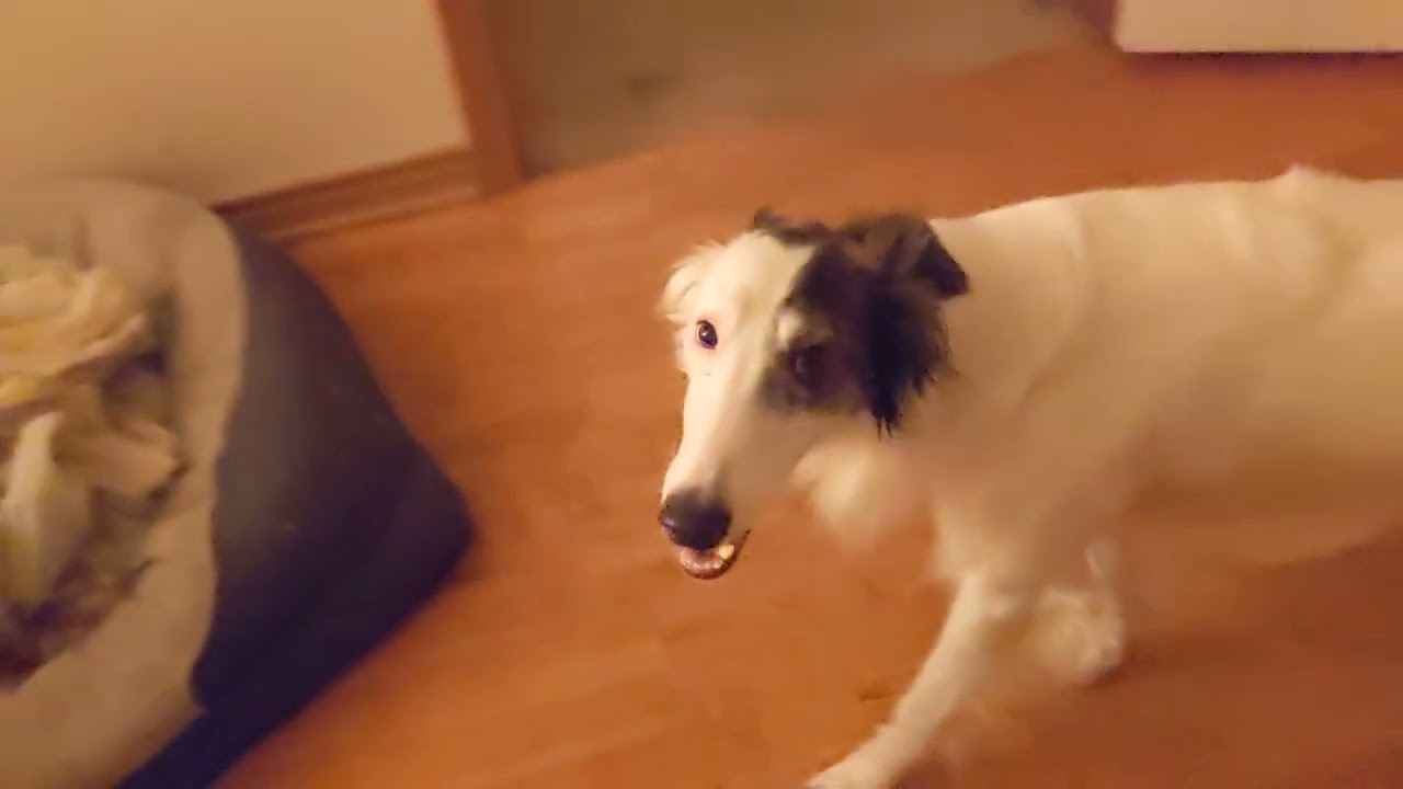 The Silkens Make The Bed