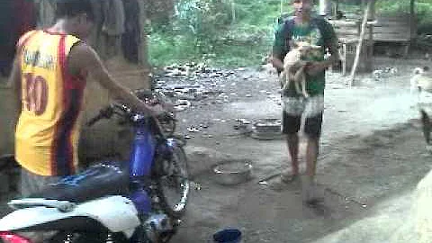 Balay ni Ante Mildred