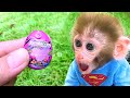 Monkey Baby Bon Bon doing shopping in Kinder Joy Egg store and eat chocolate with puppy