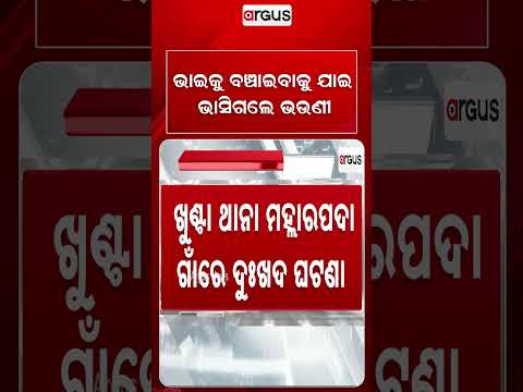ଭାଇକୁ ବଞ୍ଚାଇବାକୁ ଯାଇ ଭାସିଗଲେ ଭଉଣୀ | Brother & Sister Drown In Canal Floodwater | Argus Reels