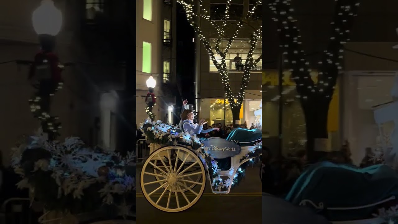 Holiday Magic in Chicago 2025 | Magnificent Mile Lights & Parade Highlights 🎄 