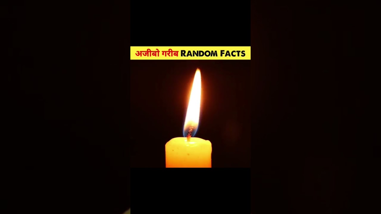 10 Amazing Random facts 