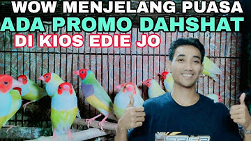 🎉 JELANG PUASA KIOS EDIE JOVANIS ADA PROMO DAHSYAT (MURAI RING APBN 750 RB) DI PASAR BURUNG PRAMUKA