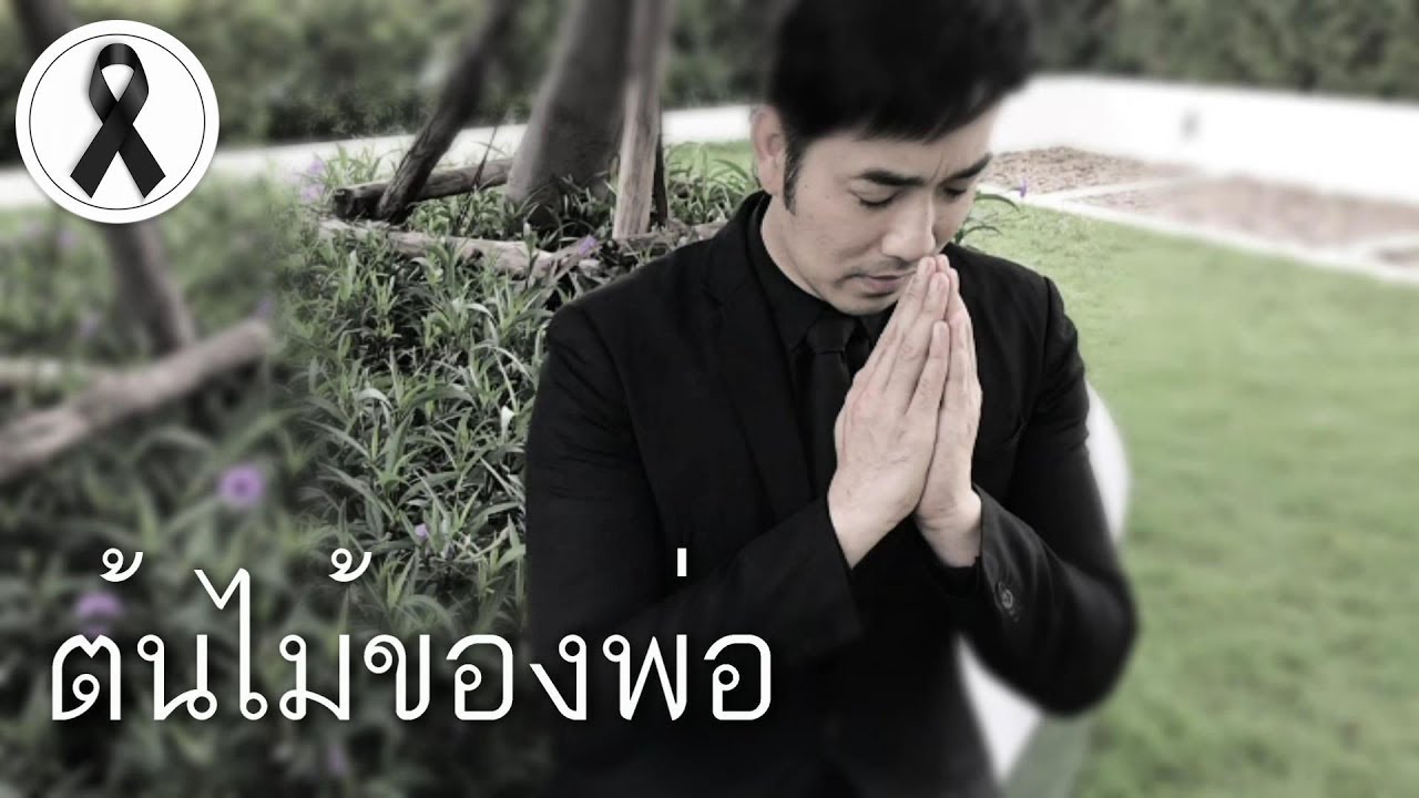 ต้นไม้ของพ่อ coverโดยเจมส์เรืองศักดิ์ เพื่อถวายความอาลัยแด่พระบาทสมเด็จพระปรมินทรมหาภูมิพลอดุลยเดช