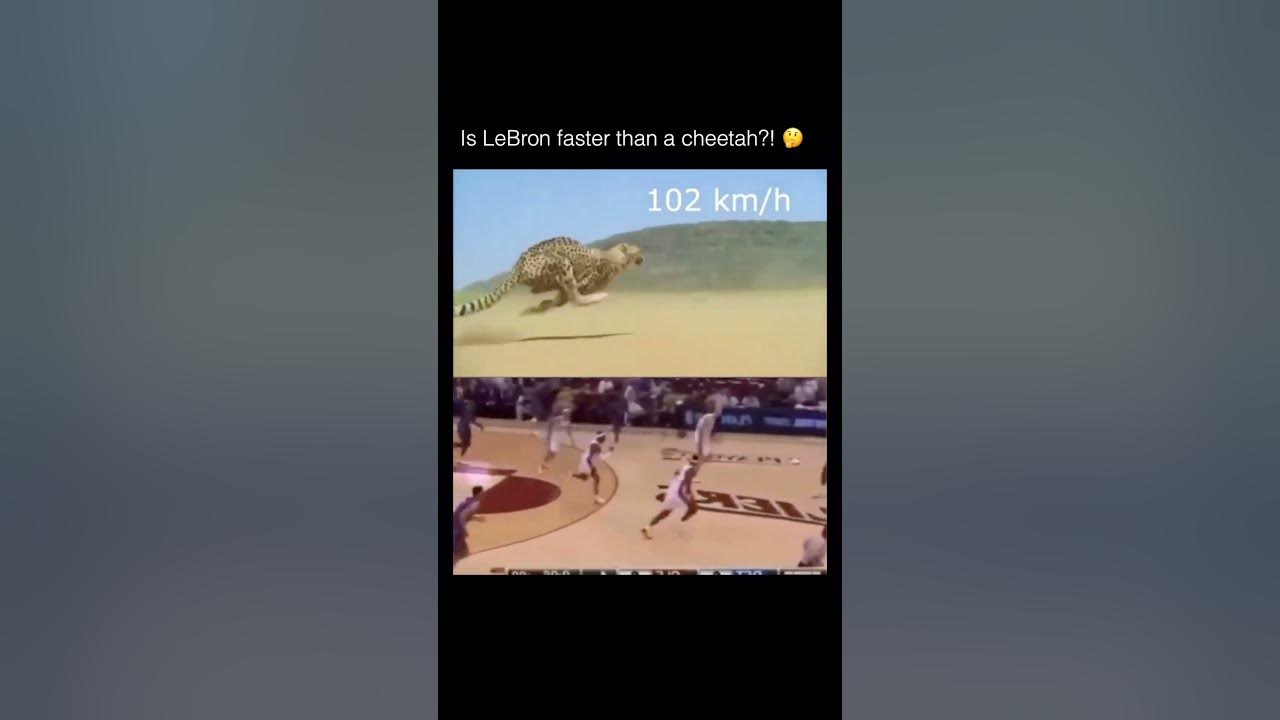 LeBron is faster than cheetah #lebronjames #trending #football #