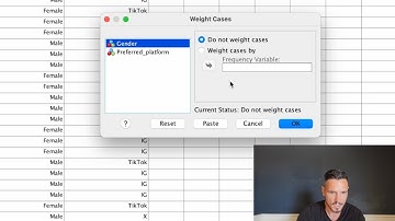 Chi–Squared Test of Independence on SPSS (2025) With an Example APA Results Section